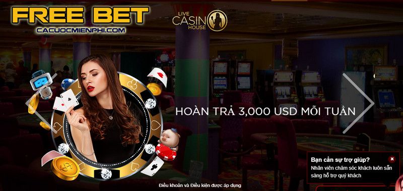 Dịch vụ chăm sóc khách hàng của P3bet luôn sẵn sàng hỗ trợ người chơi bất cứ lúc nào - P3bet