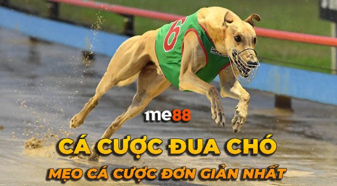 Ưu điểm của chính sách hoàn trả chi phí bảo trì 123Win - 123Win