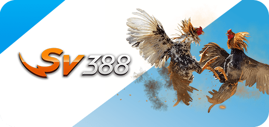 Bong888 gia nhập Unlimited Online - Bong888