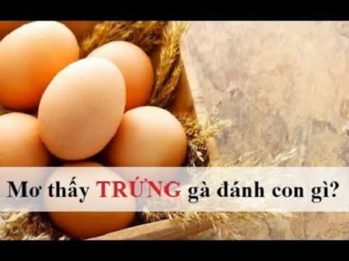 Điều khoản và điều kiện sử dụng của Aw8 - Aw8