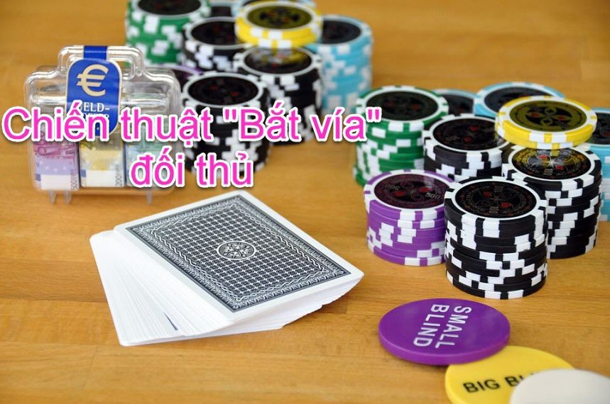 Những kinh nghiệm quan trọng trong lĩnh vực Nbet88 - Nbet88