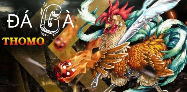 Các hoạt động quảng bá của 95Vn có gì đặc biệt? - 95Vn