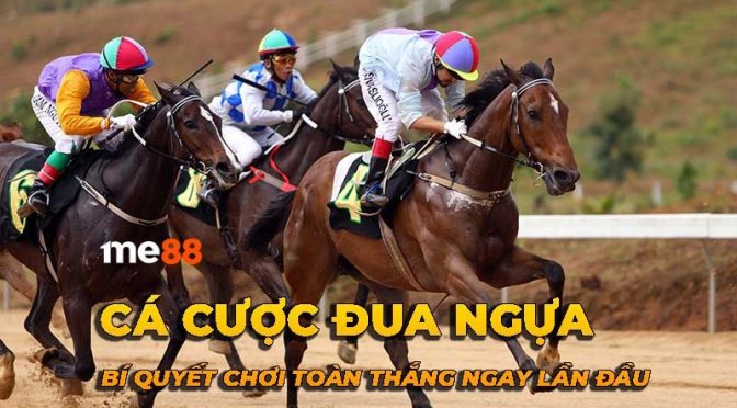 Những lý do đằng sau tin đồn Ok33 là một trò lừa đảo - Ok33