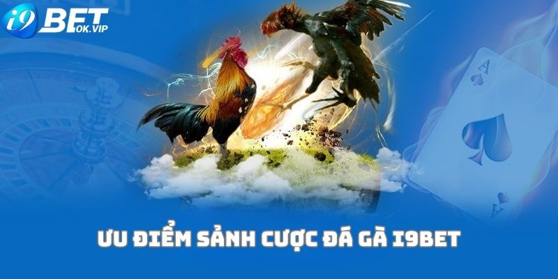 Caxeng Online Sic Bo - Địa chỉ đáng tin cậy nhất - Caxeng