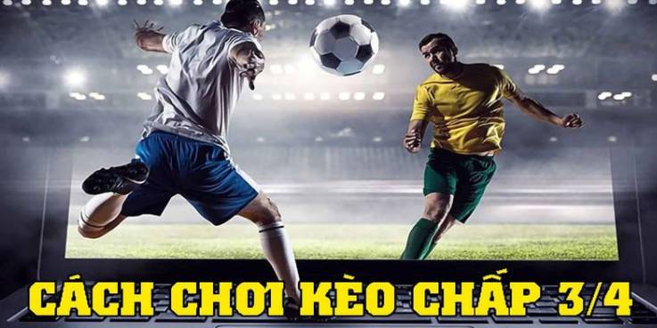 Link tải Typhu88, dùng thử miễn phí - Typhu88
