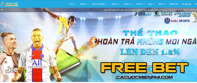 Có nhiều kinh nghiệm trong việc giành được tiền thưởng tại Zbet88 Entertainment - Zbet88
