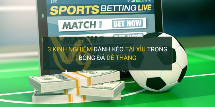 Thương hiệu hạng 100Bet với danh tiếng vượt trội - 100Bet