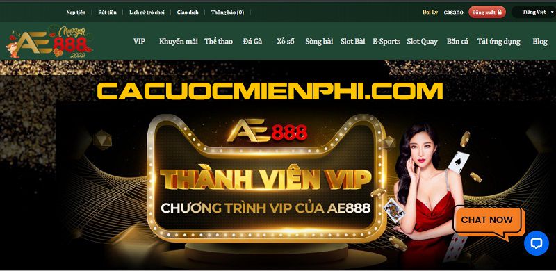 Yue88 nhắc nhở người chơi cần cảnh giác với nhiều chiêu trò lừa đảo khác nhau - Yue88