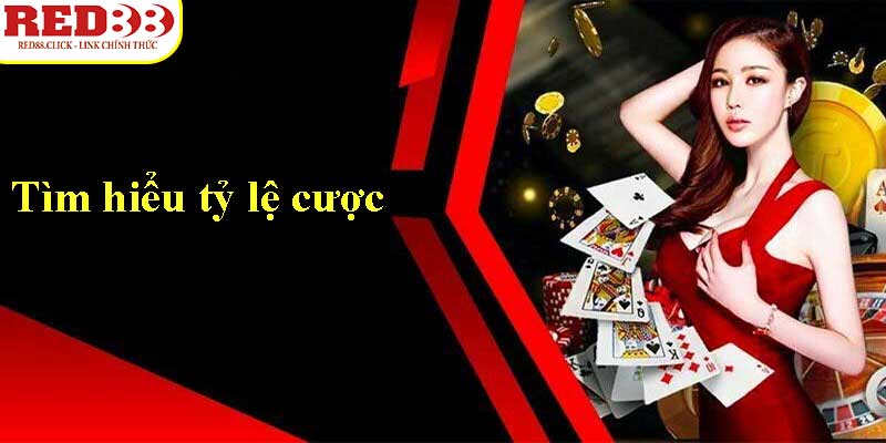Các nhiệm vụ chính của các đại lý K89bet - K89bet