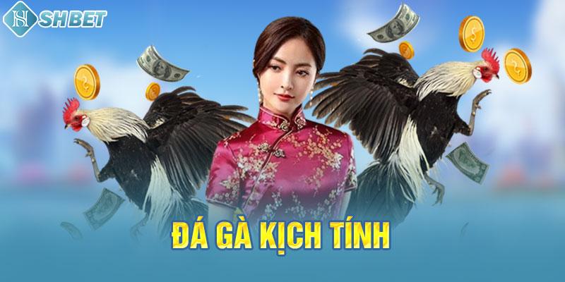 Những trò chơi nào phổ biến nhất trên các nền tảng giao dịch trò chơi thẻ bài cấp C168? - C168