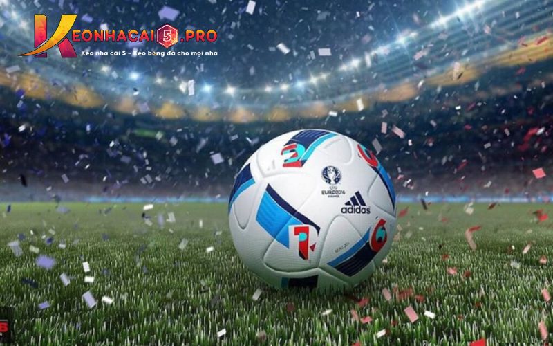 Điểm nổi bật của trang web 22Bet: 56 - 22Bet